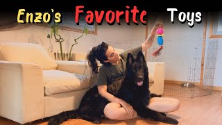 Enzo s Favorite Toys