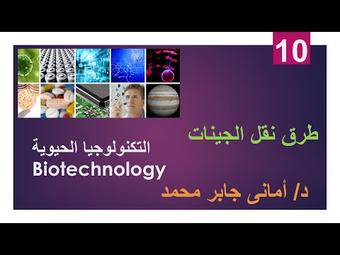 طرق نقل الجينات الهندسة الوراثية د أمانى جابر محمد