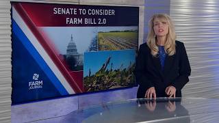 Farm Bill 2.0 Heads to the Senate: What to Expect