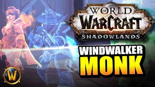 Windwalker Monk on the Shadowlands Beta // World of Warcraft