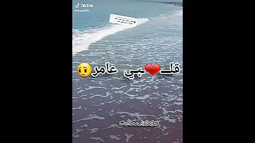 أغنية جيتك يابحر قلبي عامر 