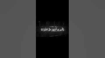 سورة المعارج الاية 15 | القارئ محمد اللحيدان🤍🖤
