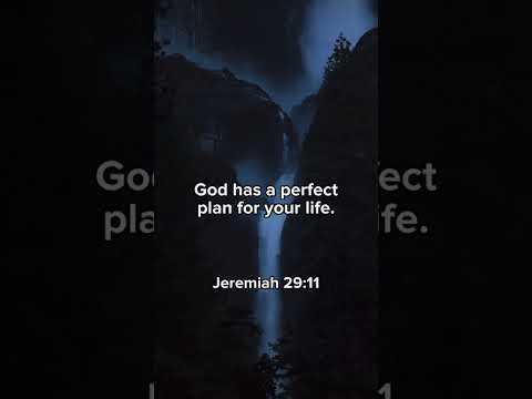 Embrace God's Plan: