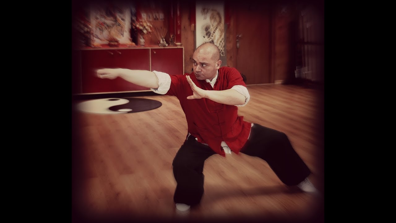 Buk Sing Choy Lay Fut - Medley Fighting Techniques #2 (蔡李佛 - 德尼蒂斯功夫)