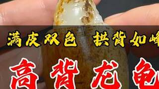 满皮双色拱背如峰：籽料精品高背龙龟和田玉和田玉籽料珠宝首饰玉文化