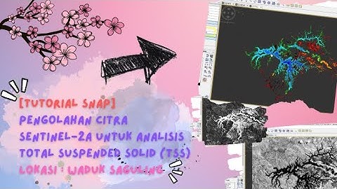 [TUTORIAL SNAP] PENGOLAHAN CITRA SENTINEL-2A UNTUK ANALISIS TOTAL SUSPENDED SOLID DI WADUK SAGULING