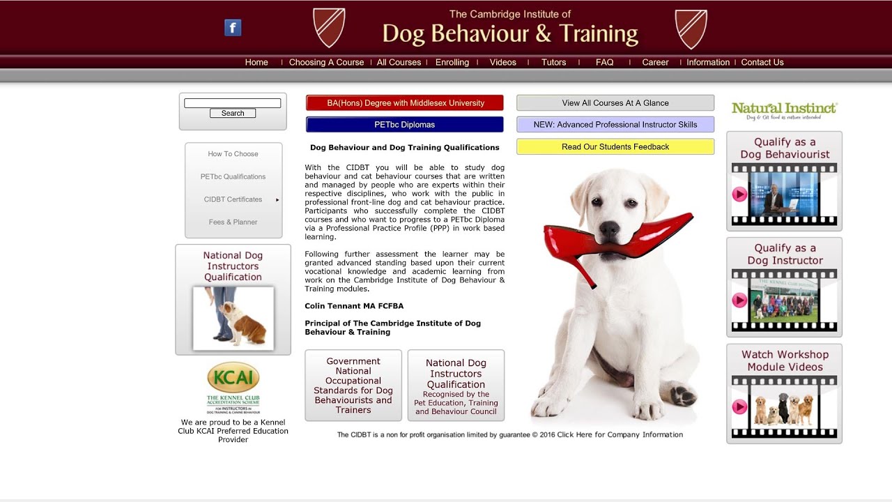 Dog Distance Learning courses - student feedback -  CIDBT