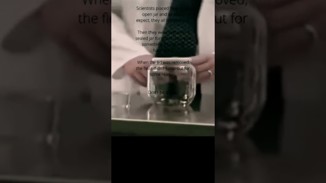 Warning! We become what we think, Flea Scary Scientific Experiment, We are what we think, 