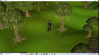 Osrs Magic Trees