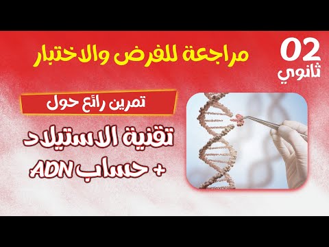 ثانية ثانوي تمرين ممتاز حول الاستيلاد وكيفية حساب ADN 