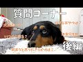 【後編】れおちの質問コーナー【ダックスフンド】