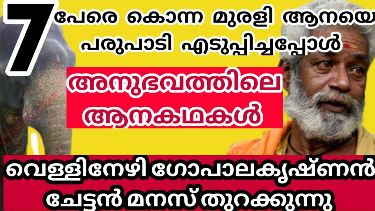 7 പേരെ കൊന്ന ആനയെ അഴിച് പരുപാടി എടുത്തപ്പോൾ വെള്ളിനേഴി ഗോപാലകൃഷ്ണൻ ചേട്ടൻ മനസ് തുറക്കുന്നു 🔥🔥
