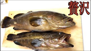 #3 魚類最強の高級魚を使って贅沢な○○を作る！