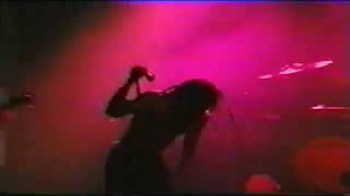 Watch Sevendust Born To Die video