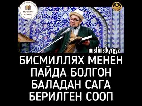 Бисмиллях менен пайда болгон баладан сага берилгенсооп.
