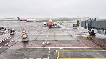 Man dies after being sucked into a jet engine at an airport in Italy