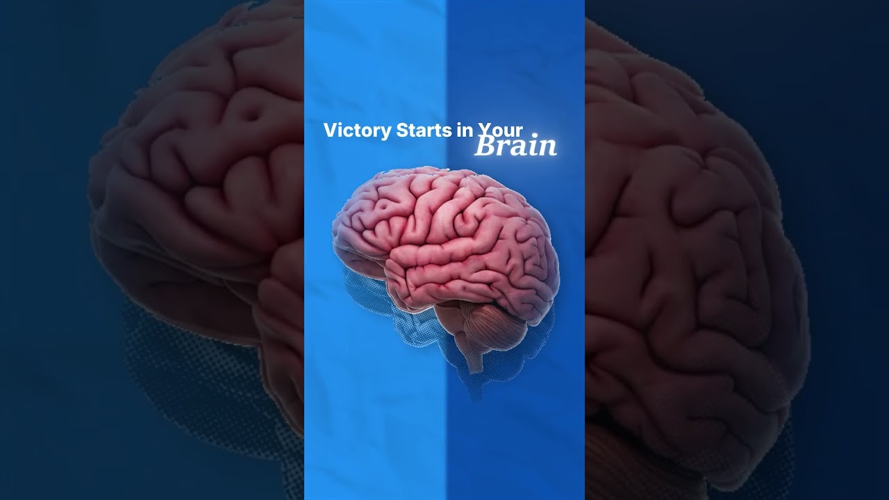 Brain,heart портфолио