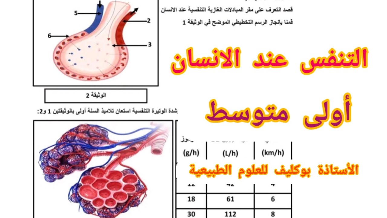 التمارين  الأكثر طلباً 💥💣حول التنفس عند الإنسان للسنة أولى متوسط في مادة العلوم الطبيعية 🌵