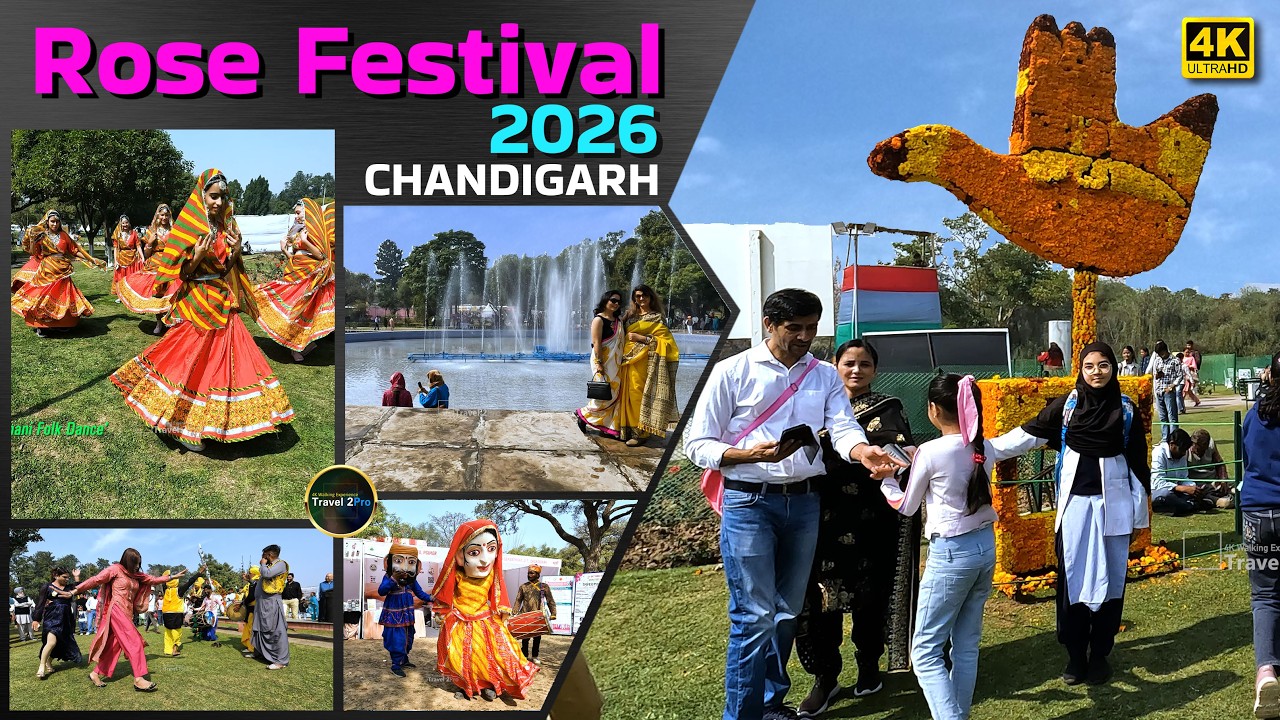ROSE FESTIVAL 2026 | CHANDIGARH | ROSE GARDEN  4K WALKING TOUR  