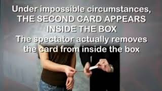 BOX WITH DVD - DAYTONA MAGIC