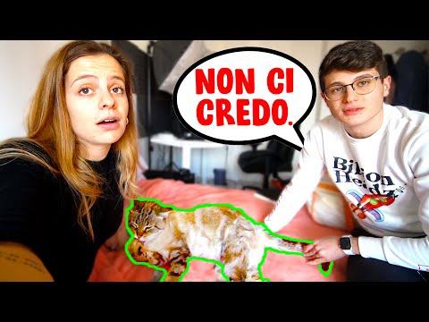 Video: Le Persone Che Amano I Gatti Scelgono Gatti Che Hanno Personalità Simili Alla Loro, Secondo Uno Studio