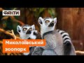 Миколаївський зоопарк: які екзотичні тварини живуть у звіринці та хто народився під час війни?