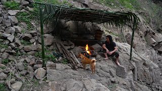 3 Day Solo Survival Challenge: Survival Shelter, Fishing, Catch and Cook