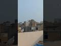hamra pigeon wapas Nahi aya😭#minivlog #shortvideo #subscribe #birds #pigeonhouse #foryou #fypシ゚viral