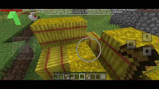 minecraft  screenshot 5