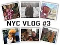 NYC VLOG #3 - CENTRAL PARK, KNICKS & AN ORANGE DOG