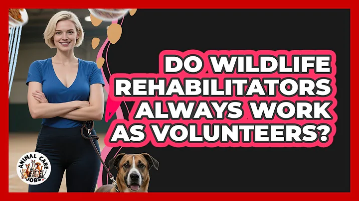 Do Wildlife Rehabilitators Always Work As Volunteers? - Animal Care Jobs