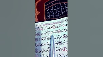 رب المشرقين ورب المغربين..سورة الرحمن . ماشاءالله بصوت القاريء الشيخ ياسر الدوسري💞