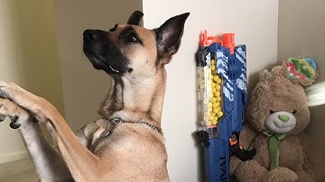 Nerf Rival Nemesis Unboxing Review and Firing