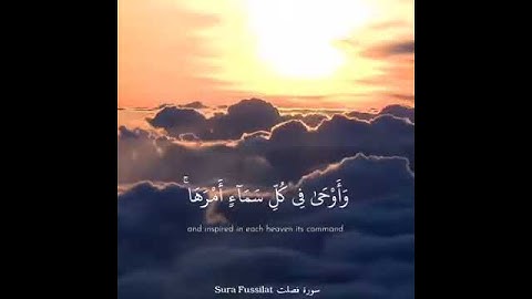 ما تيسر من سورة فصلت - فقضاهنّ في سبع سماوات