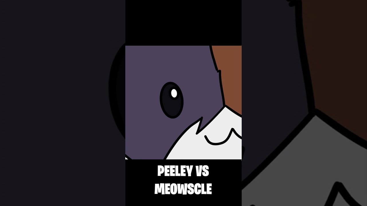 Peeley dropping bars on Meowscle |  Sweatyrapper