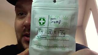 TRUMP industrial hemp strain from Five Leaf Wellness cbd product review ( legal industrial hemp)