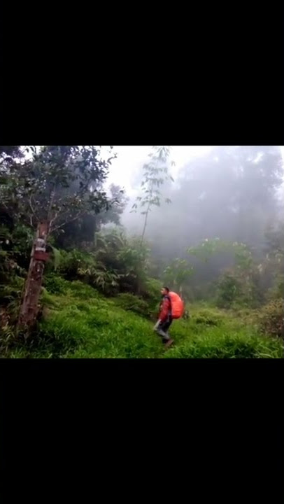 story wa pendaki gunung