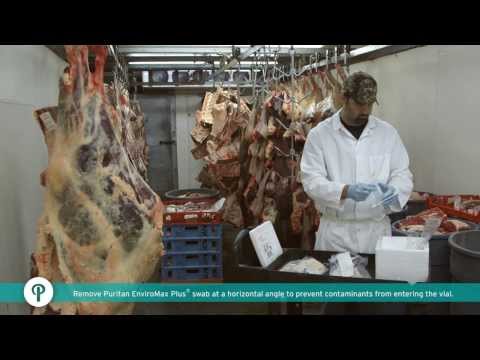 Environmental Swabbing - How to Collect Samples from Meat