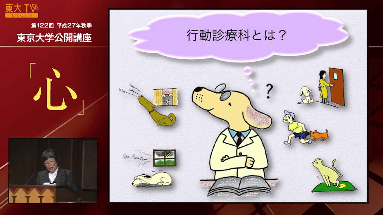 Animal Minds [JP] - YouTube