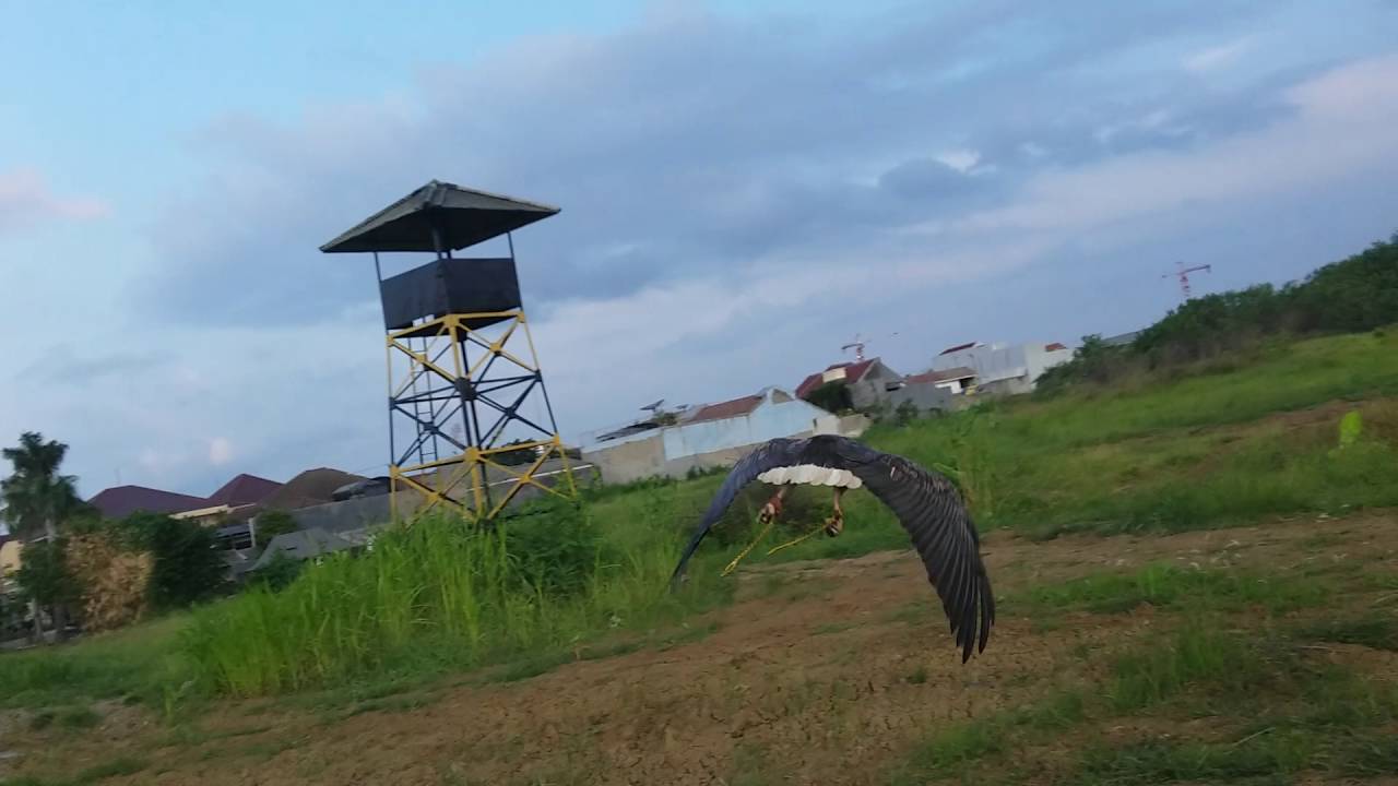 Jual Tanah Elang Laut