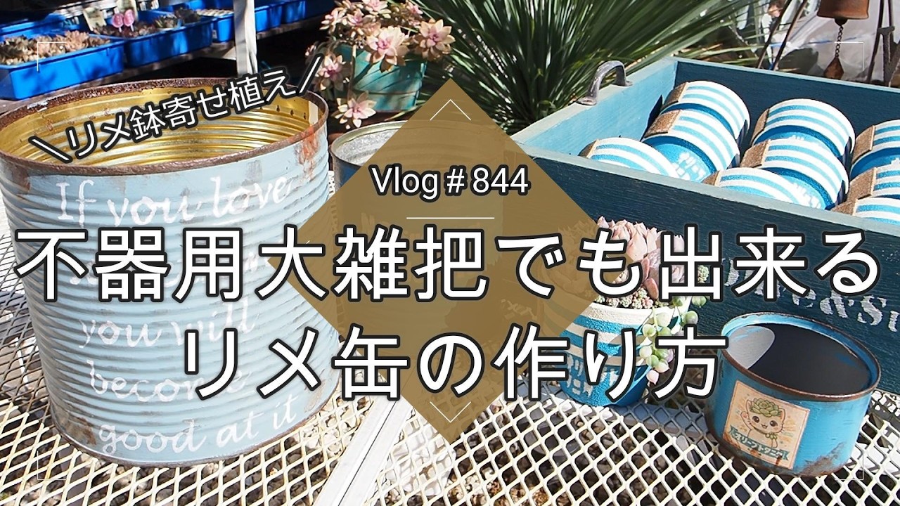 【Vlog844】【多肉植物】不器用大雑把でも出来るリメ缶の作り方【新作リメ鉢に寄せ植え】