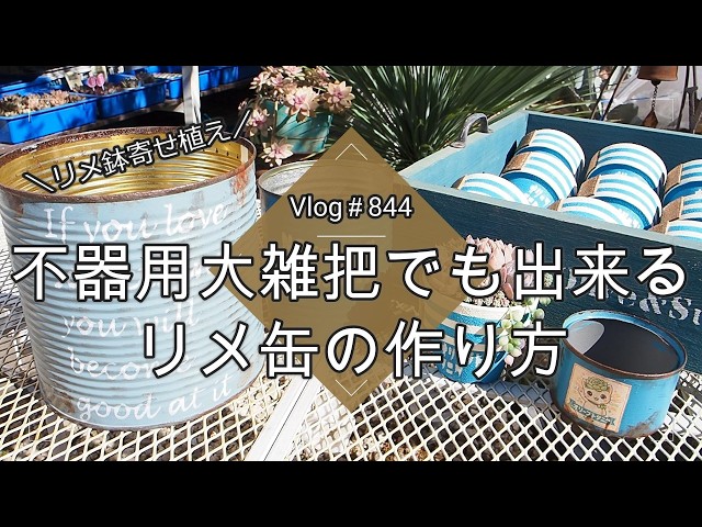 Vlog 844] [Succulents] How to repurpose cans even if you're clumsy