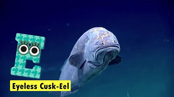 ABC Deep Sea Animals Song | Fun Phonics for Kids | Learn the Alphabet with Sea Animals #abcd