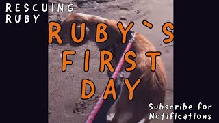 Ruby`s first day | Sofia (supermama) from Takis Shelter