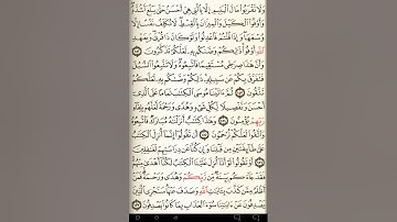 ماهر المعيقلي سورة الأنعام مكتوبة صفحة 149 مصحف المدينة المنورة جودة عالية