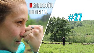 DETECCIÓN INFINITA - Detección metálica en campo con detector de metales Minelab Equinox 800
