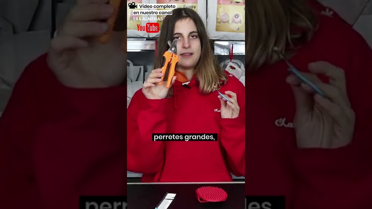 ¡Tipos de peine y cepillo según el pelo de tu perro!