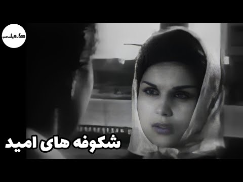 فیلم قدیمی فیلم قدیمی شکوفه های امید با بازی حمیده خیر آبادی ۱۳۴۴ هزار و یک شب 