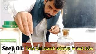 Biochemical test for starch ( Iodine test)