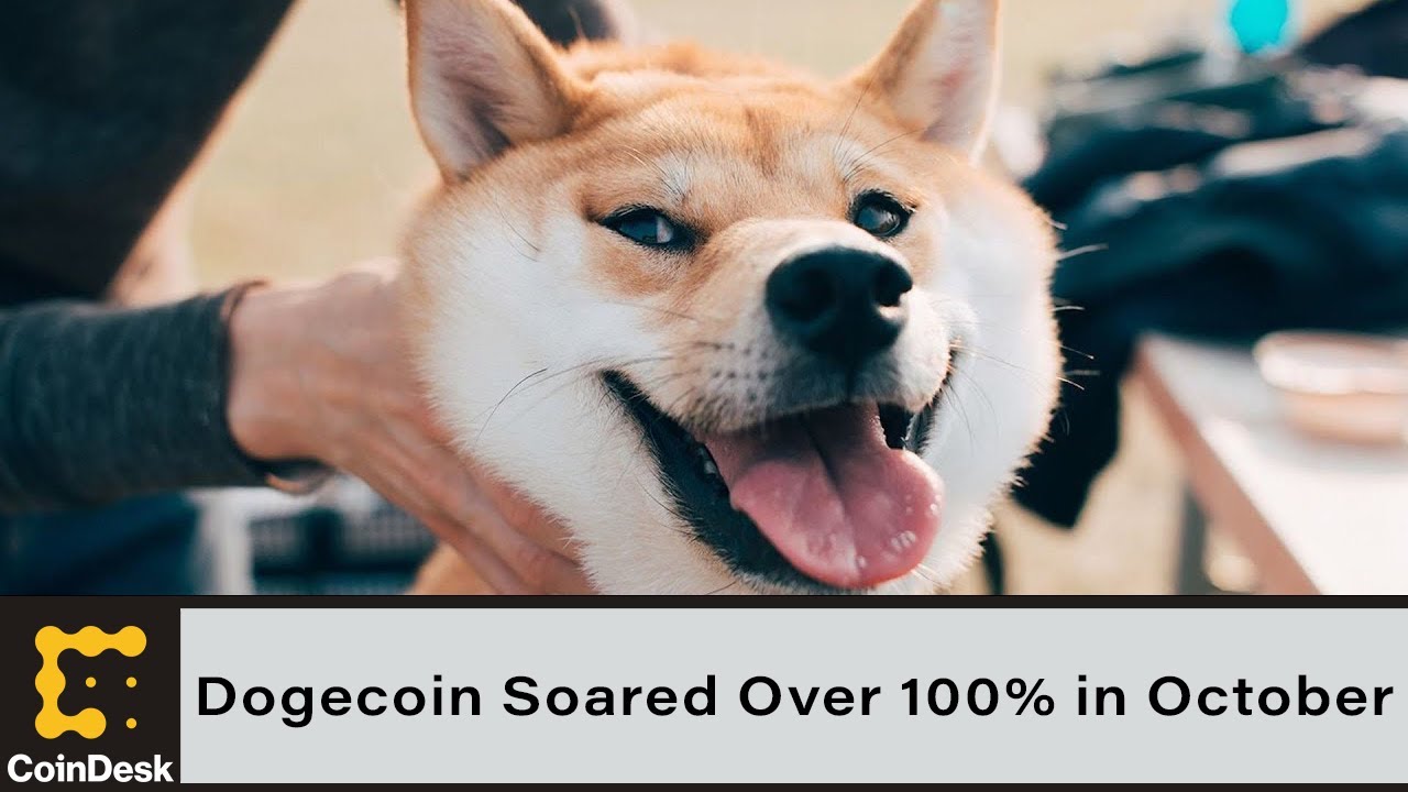 Tesla Shiba Inu Musky Dog Dogecoin Soared Over 100% In October As Elon Musk  Takes Over Twitter